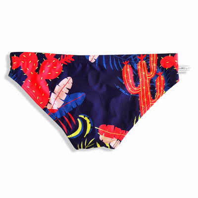 Men's swimwear briefs- purple cactus
